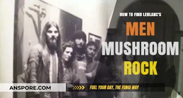 Locating LeBlanc's Men Mushroom Rock: A Comprehensive Guide