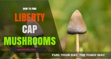 Discovering Liberty Cap Mushrooms: A Comprehensive Guide to Finding Psilocybe Semilanceata