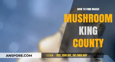 Discovering King County's Magic Mushrooms: A Forager's Guide to Finding Psilocybin