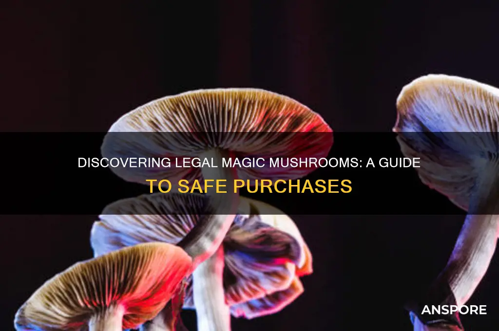 how to find magic mushrooms for sale