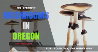Discovering Oregon's Magic Mushrooms: A Guide to Foraging Safely