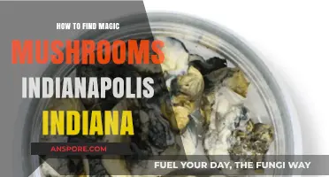 Discovering Magic Mushrooms in Indianapolis: A Comprehensive Guide