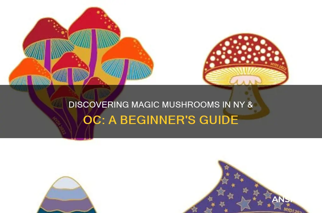 how to find magic mushrooms ny oc