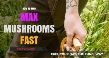 Quickly Locate Maximum Mushrooms: Efficient Foraging Tips and Tricks