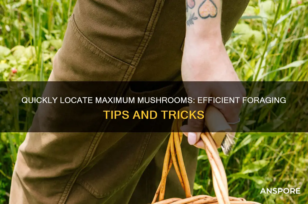 how to find max mushrooms fast