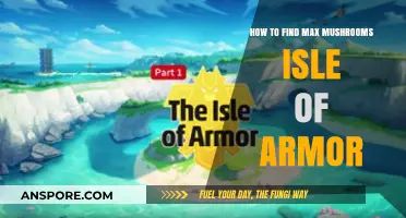 Mastering Mushroom Hunting: Tips for Finding Max Mushrooms in Isle of Armor