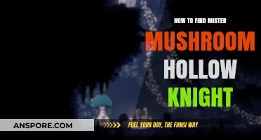 Discover Mister Mushroom in Hollow Knight: A Step-by-Step Guide