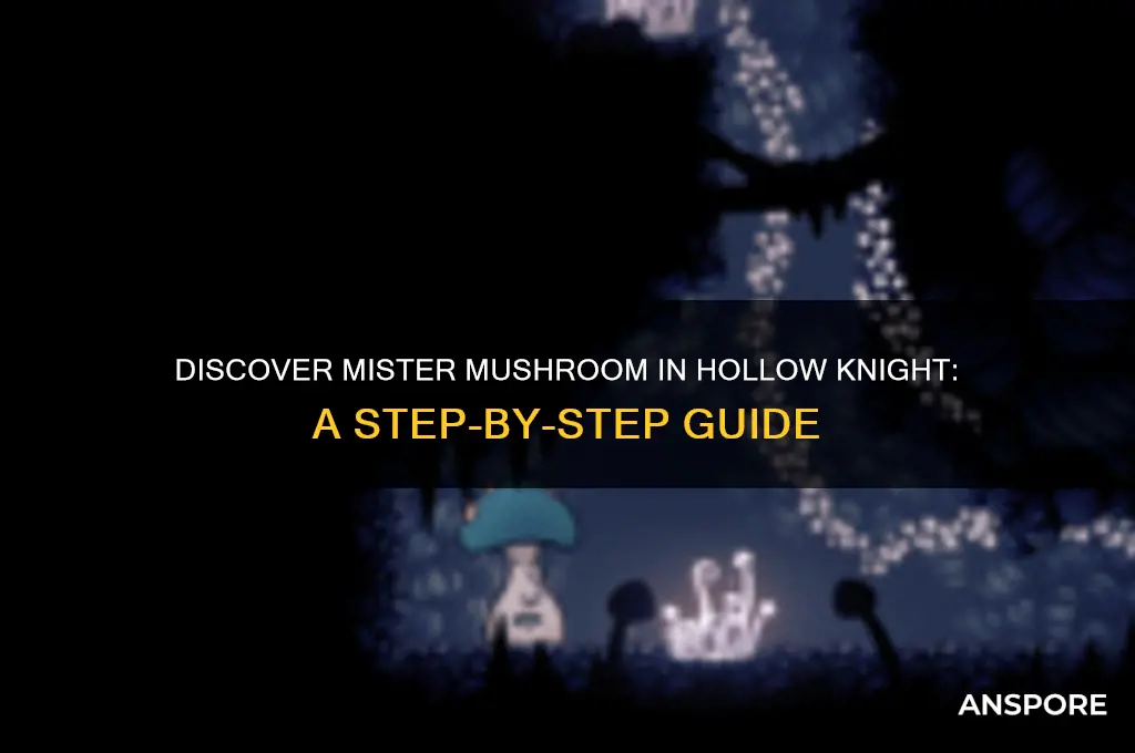 how to find mister mushroom hollow knight