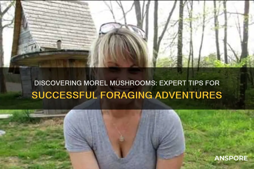how to find morrel mushrooms