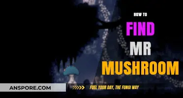 Discovering Mr. Mushroom: A Guide to Locating This Elusive Fungus