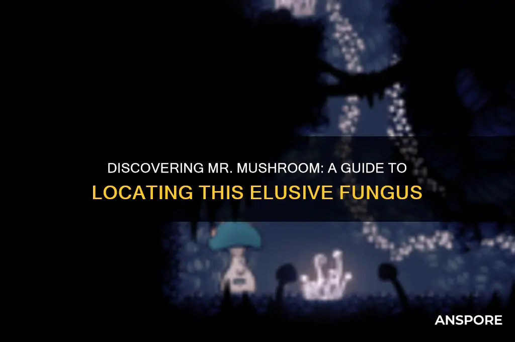 how to find mr mushroom