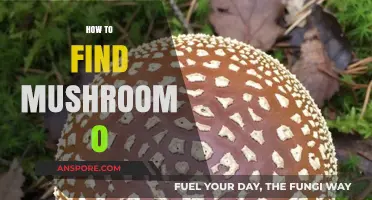 Discovering Mushroom 0: A Beginner's Guide to Finding This Unique Fungus