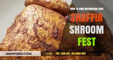 Discover Mushroom Ahri Shaffir Shroom Fest: Ultimate Guide & Tips