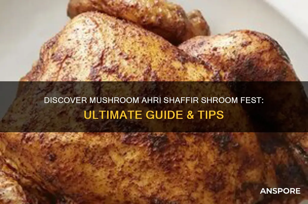 how to find mushroom ahri shaffir shroom fest