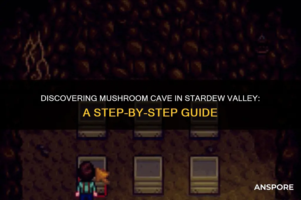 how to find mushroom cave stardew
