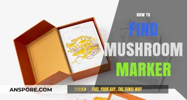 Discovering Mushroom Markers: A Beginner's Guide to Foraging Safely