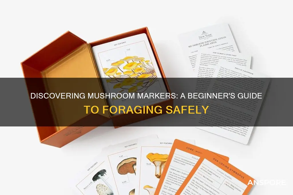 how to find mushroom marker