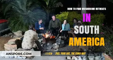 Discover South America's Best Mushroom Retreats: A Guide to Finding Them