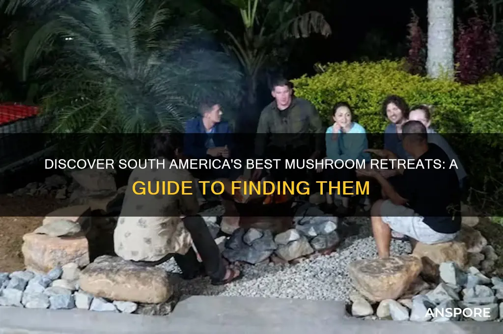 how to find mushroom retreats in south america