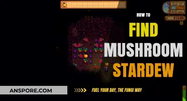 Stardew Valley Mushroom Hunting: Tips for Finding Fungi in Every Season