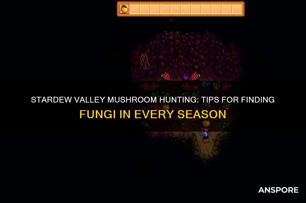 how to find mushroom stardew