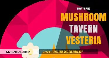 Discovering Mushroom Tavern in Vesteria: A Comprehensive Guide for Adventurers