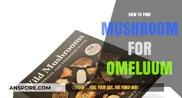 Discovering Mushrooms for Omeluum: A Beginner's Guide to Foraging