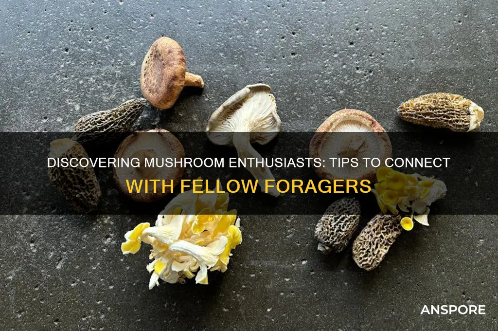 how to find mushrooms from people