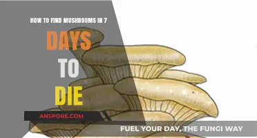 Mastering Mushroom Foraging in 7 Days to Die: Quick Survival Guide