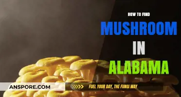 Alabama's Hidden Treasures: A Guide to Finding Wild Mushrooms