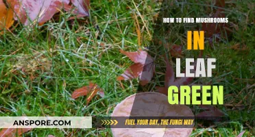 Discovering Hidden Mushrooms in Leaf Green: A Foraging Guide