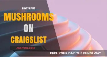 Discovering Craigslist's Hidden Mushroom Listings: A Forager's Guide