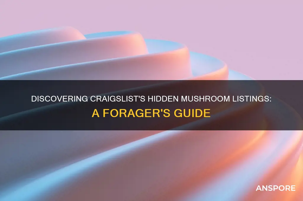 how to find mushrooms on craigslist