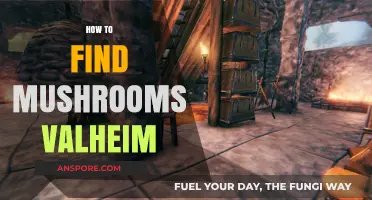 Valheim Mushroom Hunting Guide: Tips for Finding Fungi in the Wild
