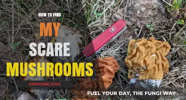 Discovering Scare Mushrooms: A Beginner's Guide to Finding Them Safely