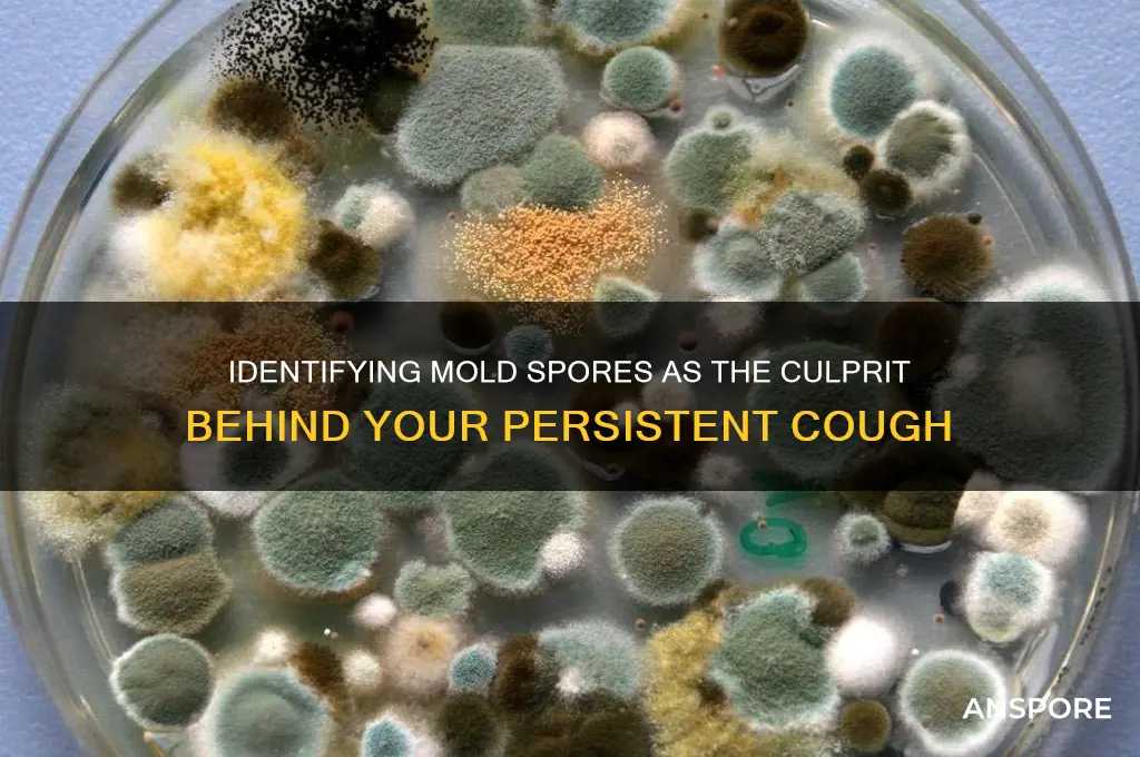 how to find out if mold spores cause my cough