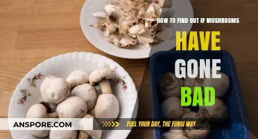 Spotting Spoiled Mushrooms: Signs Your Fungi Have Gone Bad