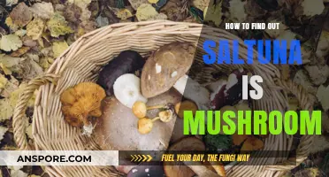 Identifying Saltuna Mushrooms: A Comprehensive Guide to Spotting Them