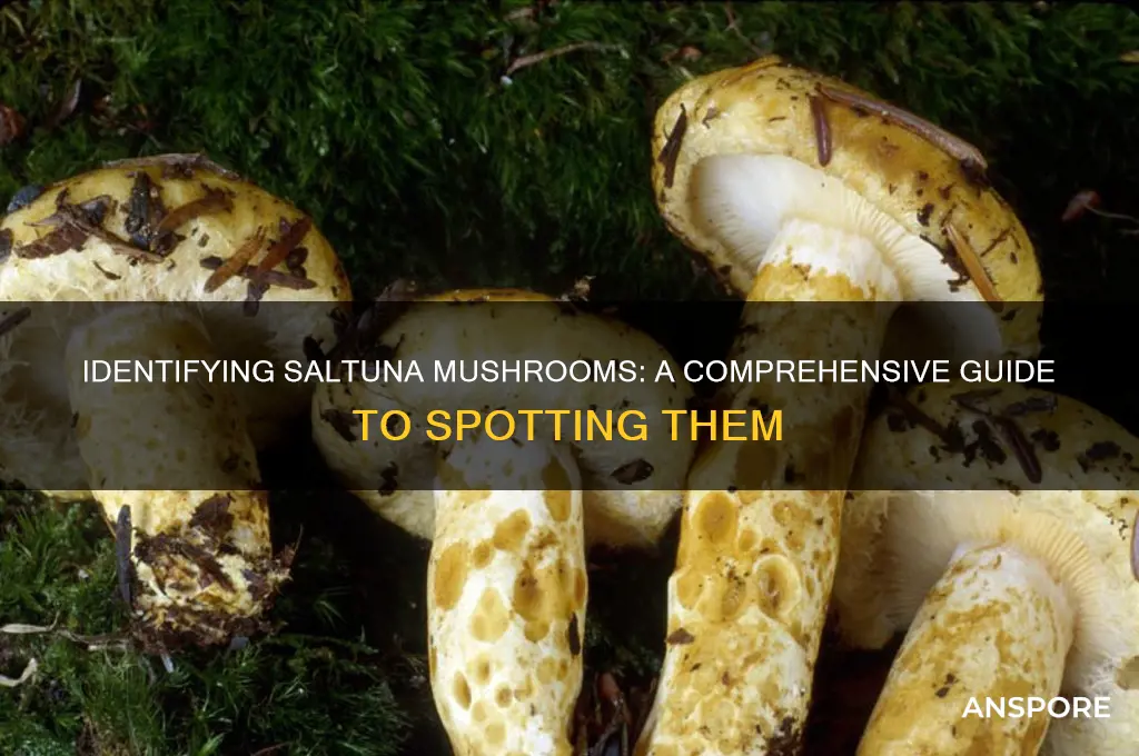 how to find out saltuna is mushrooms
