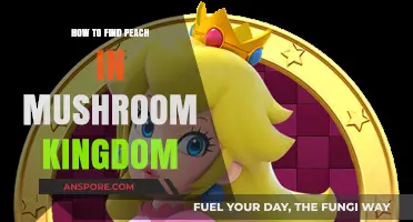 Finding Peach: A Guide to Locating Her in Mushroom Kingdom