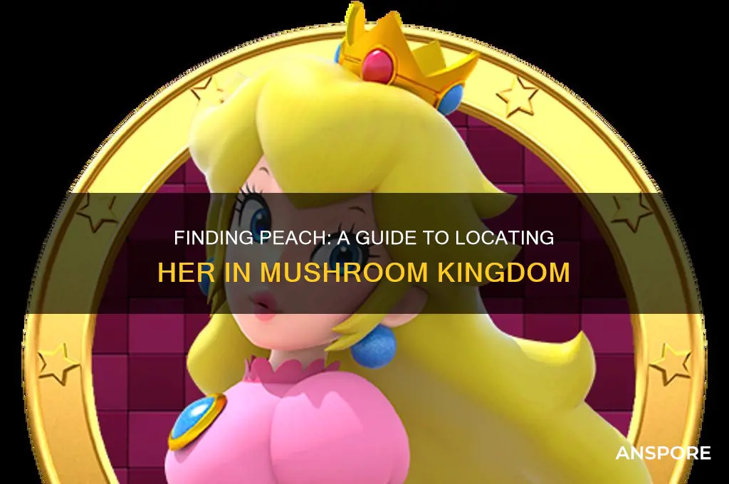 how to find peach in mushroom kingdom