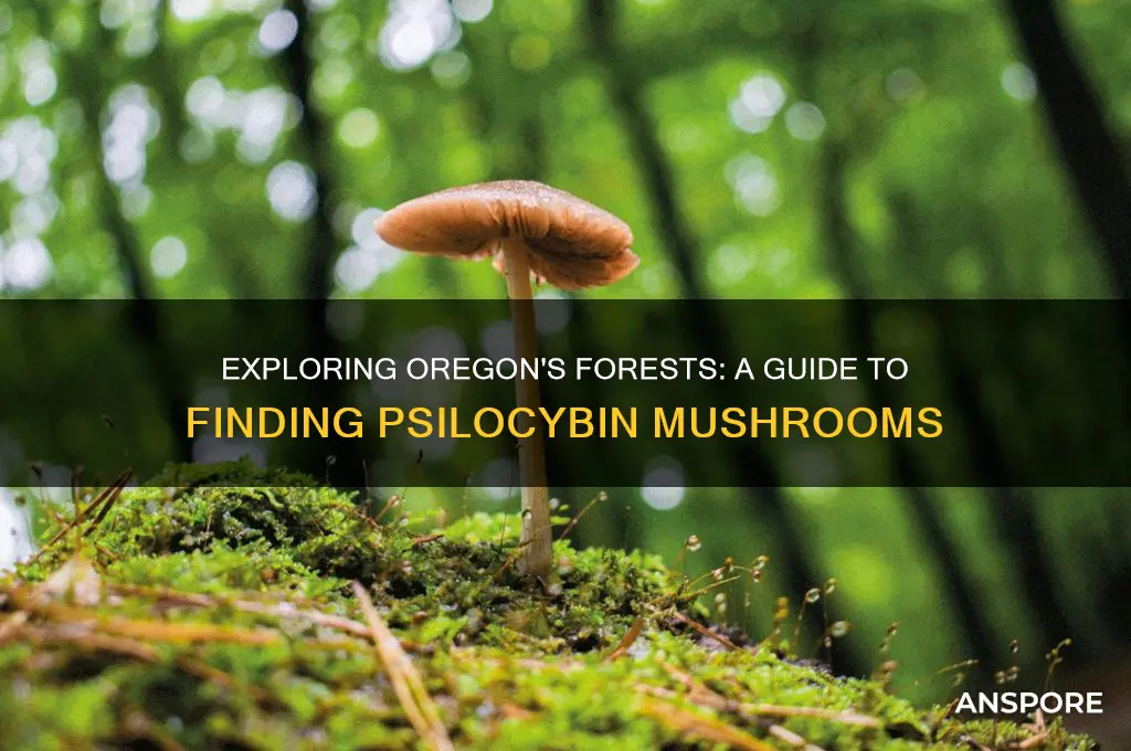 how to find psilocyben mushrooms in oregon