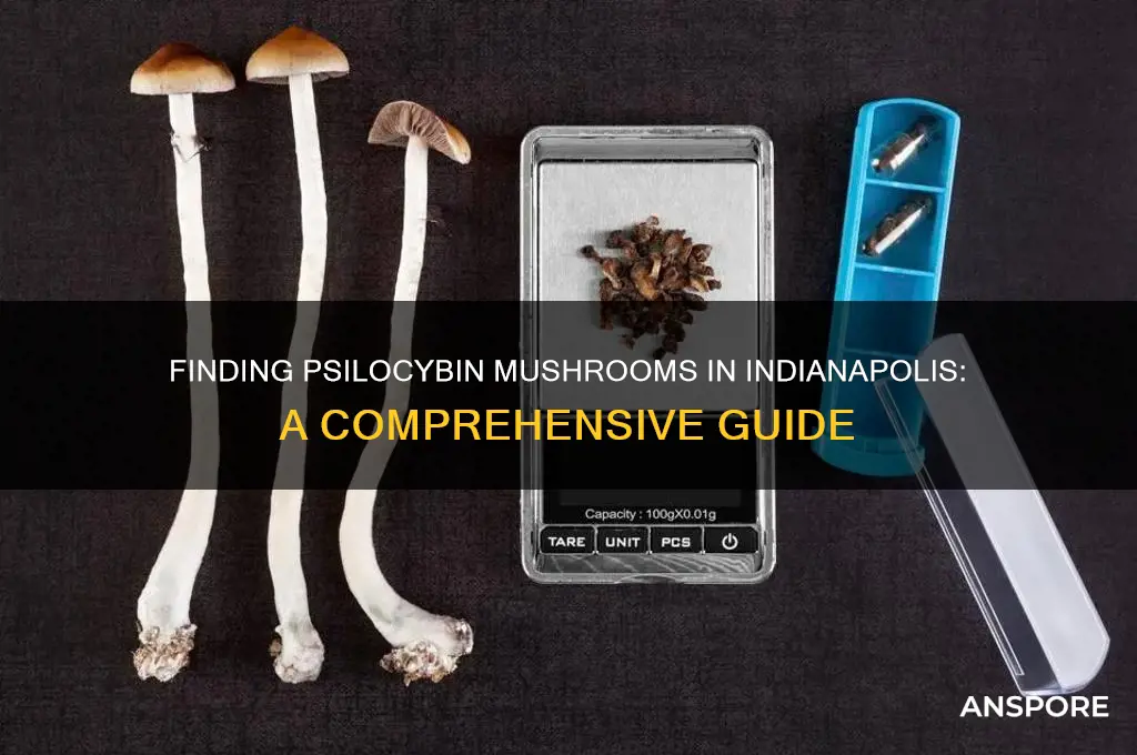 how to find psilocybin mushrooms in indianapolis
