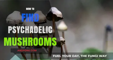 Exploring Nature's Secrets: A Guide to Locating Psychedelic Mushrooms