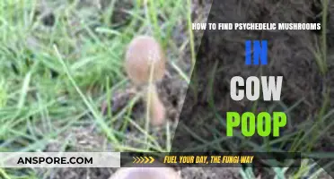 Finding Psychedelic Mushrooms in Cow Manure: A Comprehensive Guide