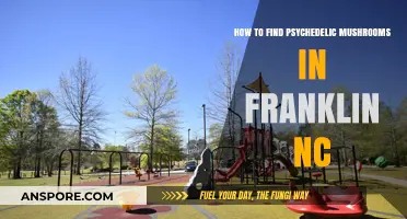 Exploring Franklin, NC: A Guide to Locating Psychedelic Mushrooms Safely