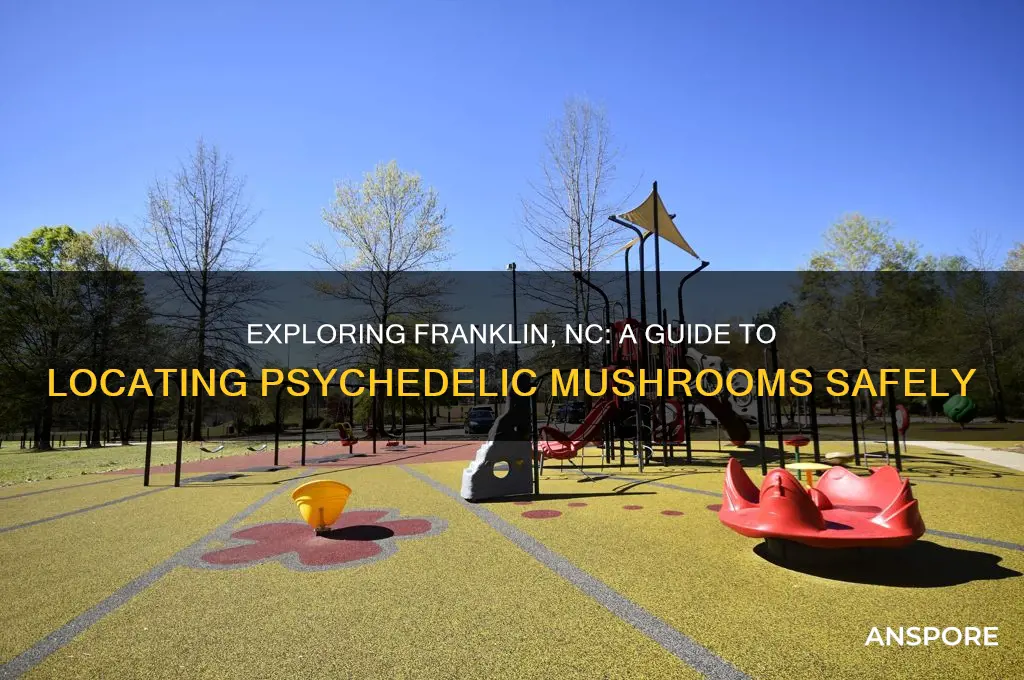 how to find psychedelic mushrooms in franklin nc
