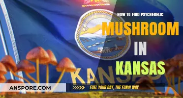 Exploring Kansas: A Guide to Locating Psychedelic Mushrooms Safely