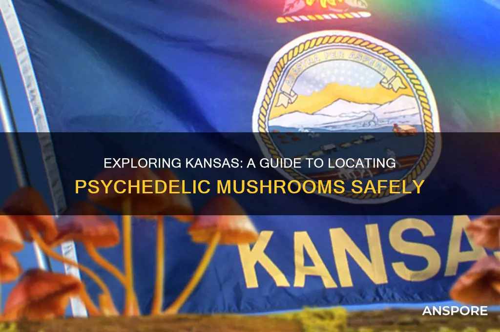 how to find psychedelic mushrooms in kansas