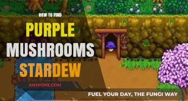 Discovering Purple Mushrooms in Stardew Valley: A Comprehensive Guide